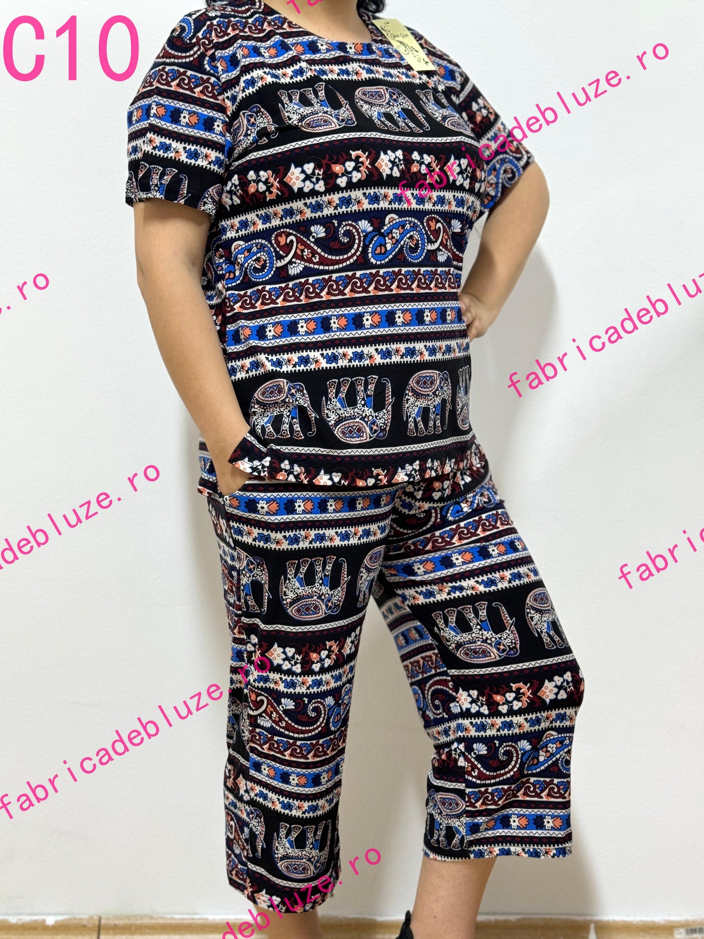 Compleuri/trei sferturi Pantaloni C10